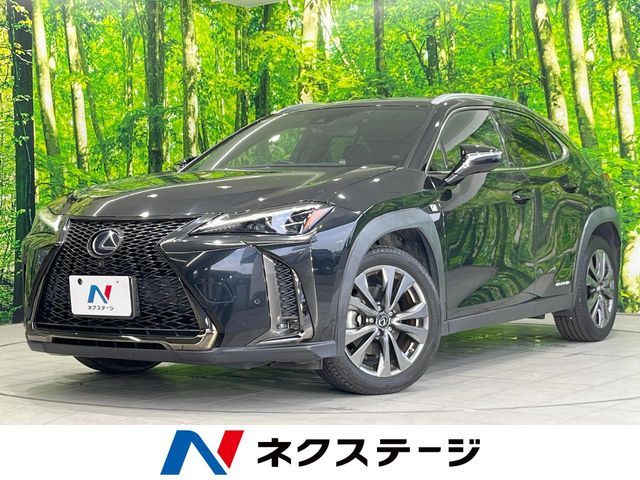TOYOTA / LEXUS UX250h