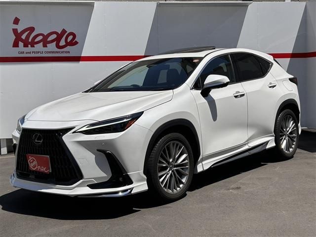 TOYOTA / LEXUS NX250