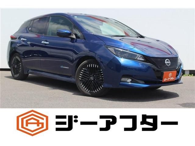 NISSAN / LEAF