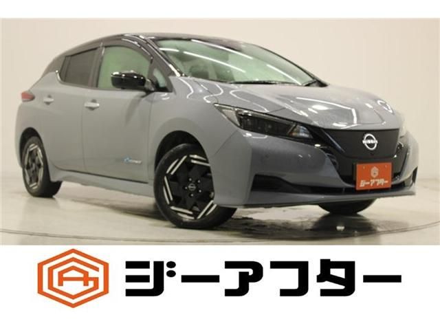 NISSAN / LEAF