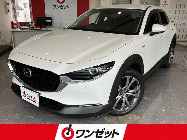 Japanese used car Ref# 1650944 MAZDA / CX-30