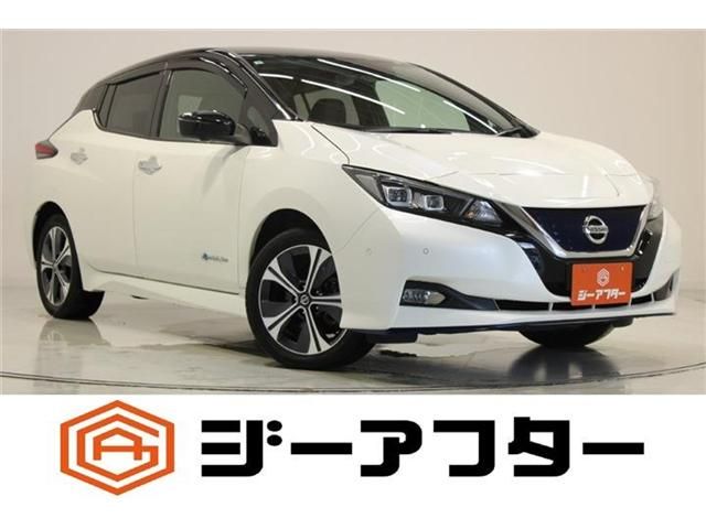 NISSAN / LEAF