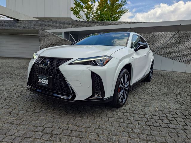 TOYOTA / LEXUS UX250h