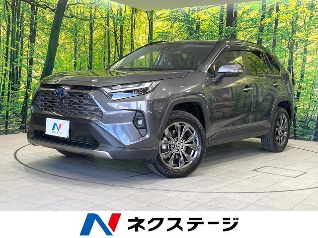 TOYOTA / RAV4 HYBRID 4WD