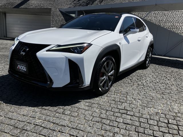 TOYOTA / LEXUS UX300h