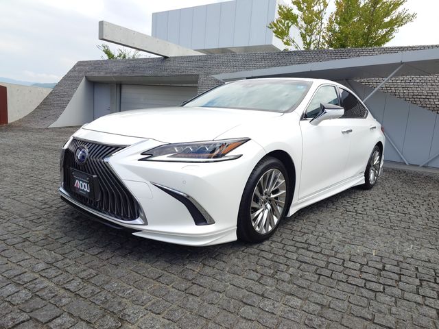 TOYOTA / LEXUS ES300h