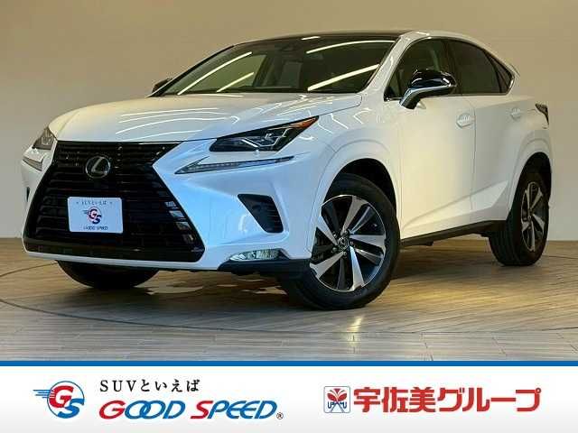 TOYOTA / LEXUS NX300
