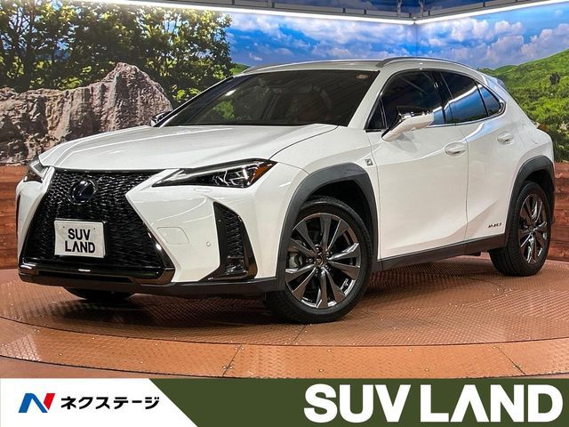 TOYOTA / LEXUS UX250h