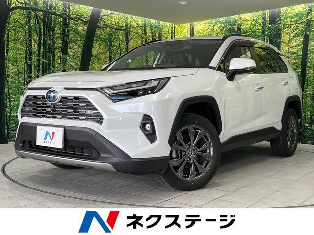 TOYOTA / RAV4 HYBRID 4WD