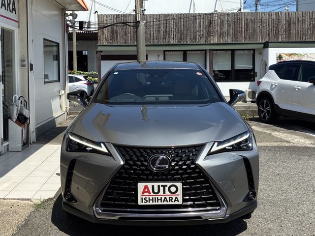 TOYOTA / LEXUS UX250h