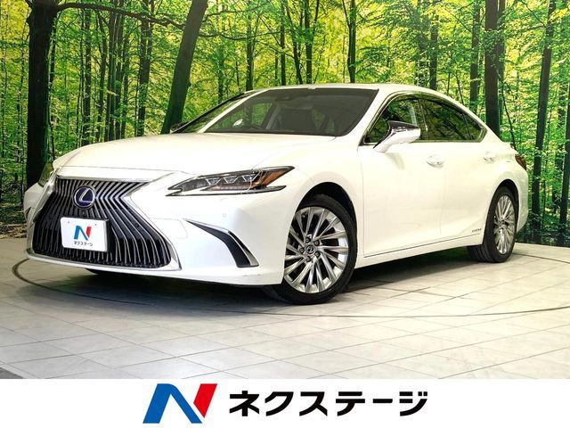 TOYOTA / LEXUS ES300h