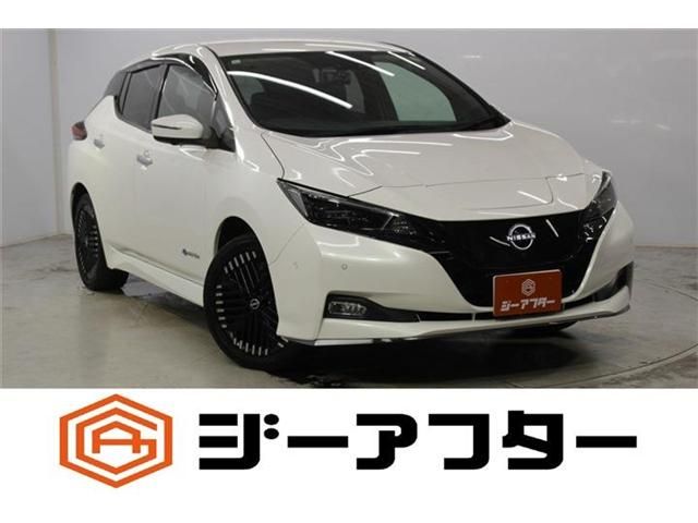 NISSAN / LEAF