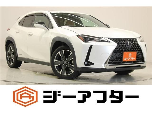 TOYOTA / LEXUS UX250h AWD
