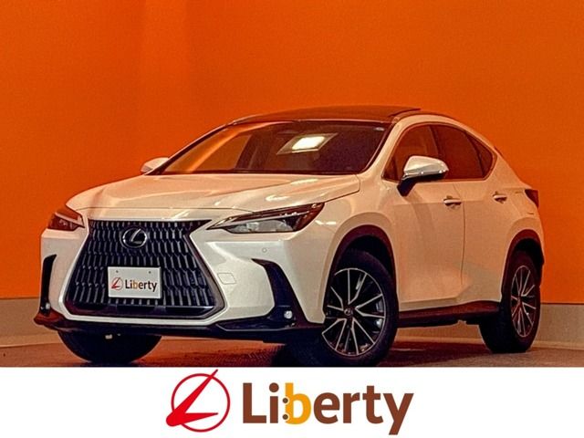 TOYOTA / LEXUS NX250
