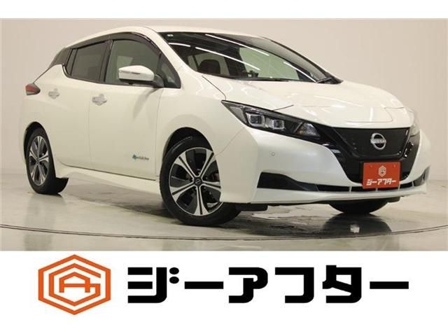 NISSAN / LEAF