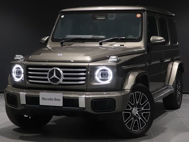 MERCEDES BENZ / MERCEDES BENZ G class