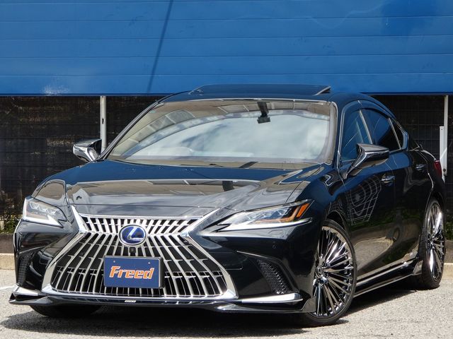 TOYOTA / LEXUS ES300h