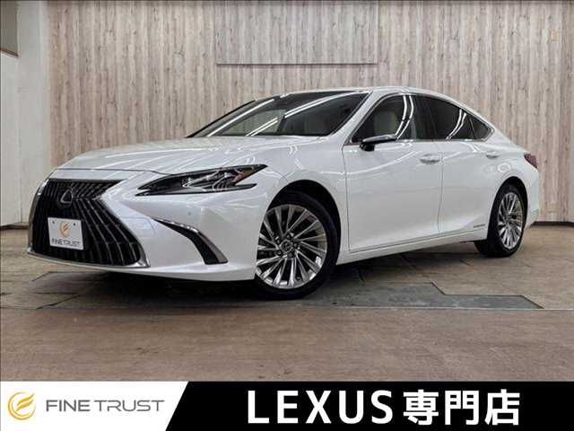 TOYOTA / LEXUS ES300h