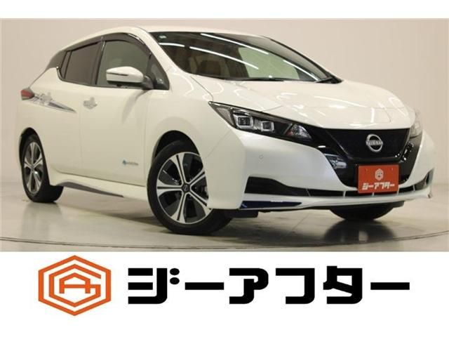 NISSAN / LEAF