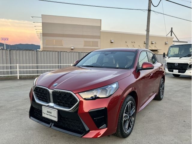 BMW / BMW X2