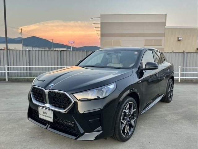 BMW / BMW X2
