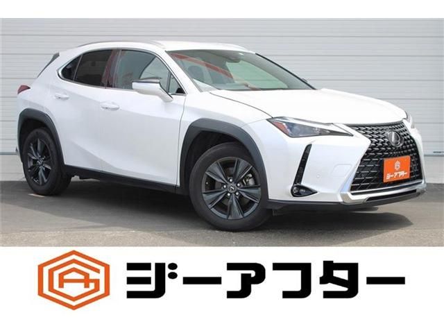 TOYOTA / LEXUS UX250h