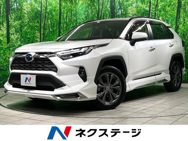 TOYOTA / RAV4 HYBRID 4WD