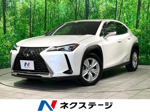 TOYOTA / LEXUS UX250h