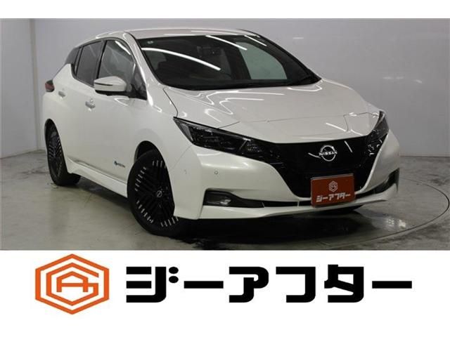 NISSAN / LEAF