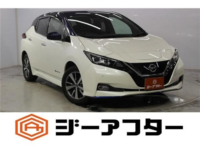 NISSAN / LEAF