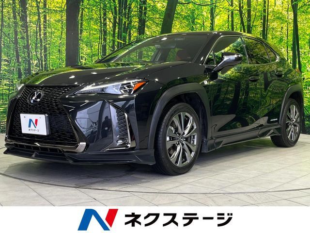 TOYOTA / LEXUS UX250h AWD