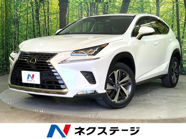 TOYOTA / LEXUS NX300
