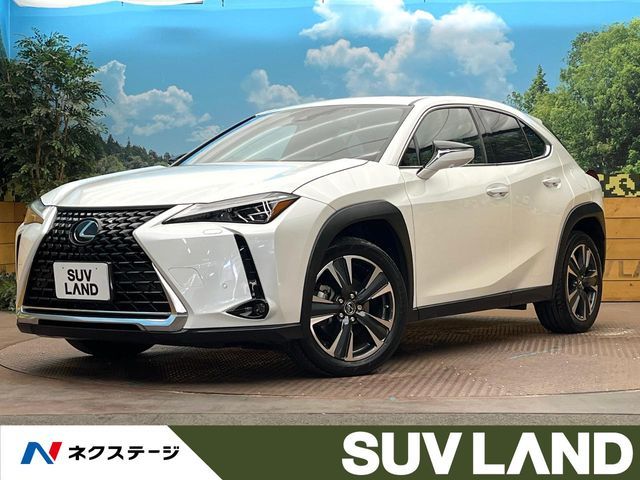 TOYOTA / LEXUS UX250h
