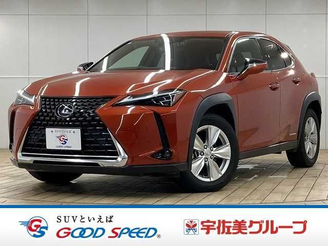 TOYOTA / LEXUS UX250h