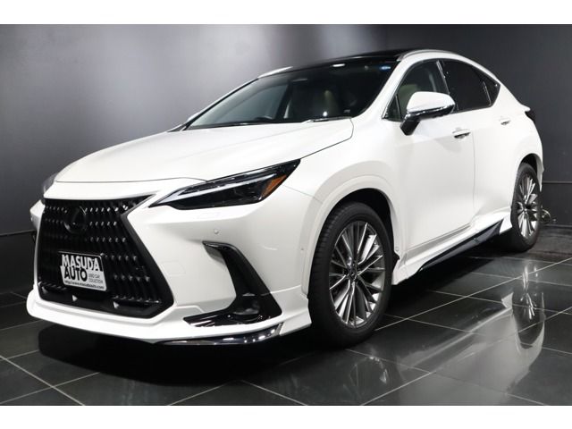 TOYOTA / LEXUS NX450h+ AWD