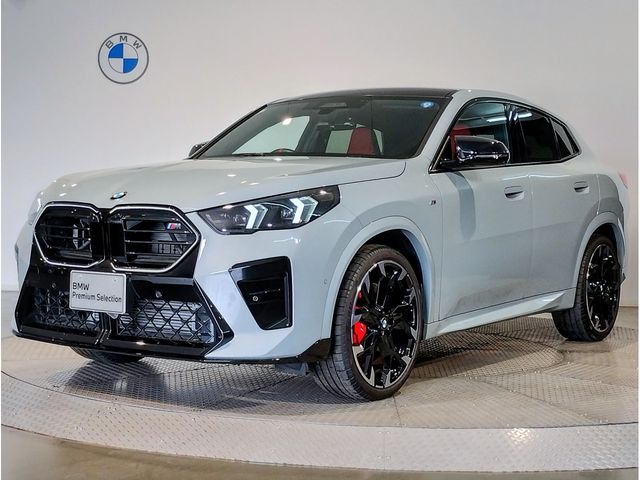 BMW / BMW X2