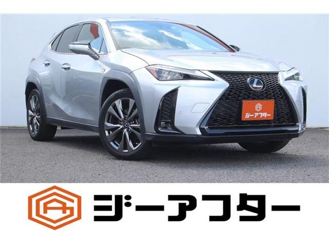 TOYOTA / LEXUS UX250h