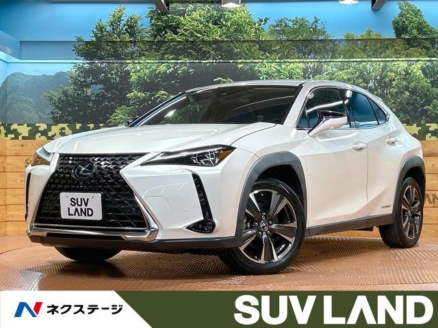 TOYOTA / LEXUS UX250h