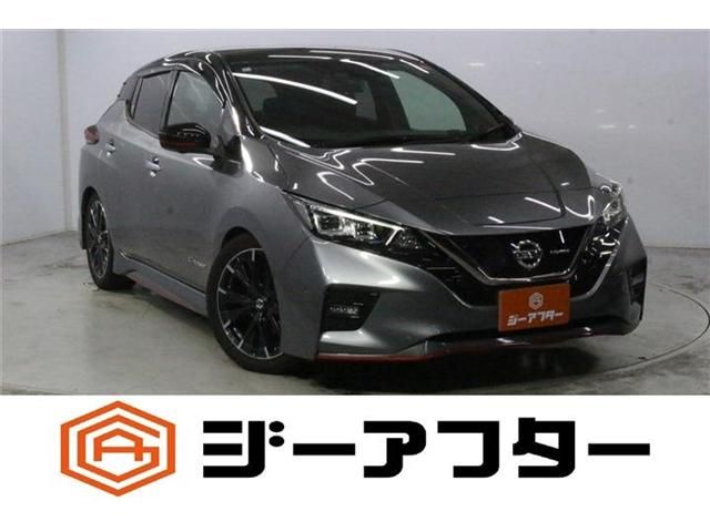 NISSAN / LEAF