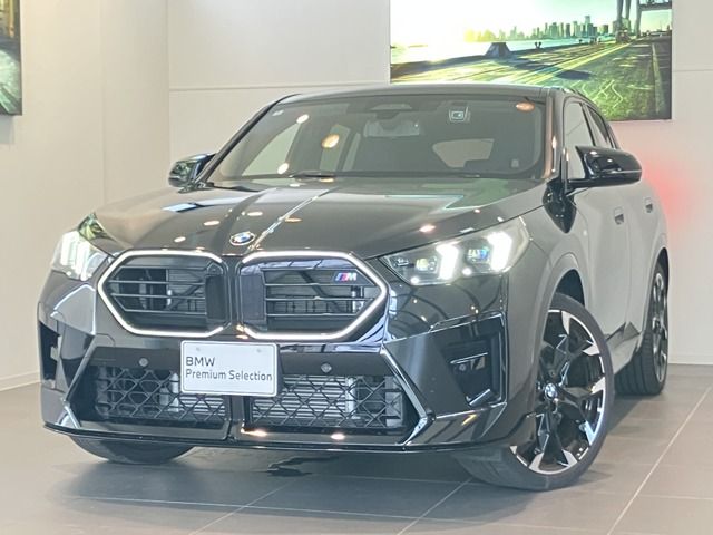 BMW / BMW X2