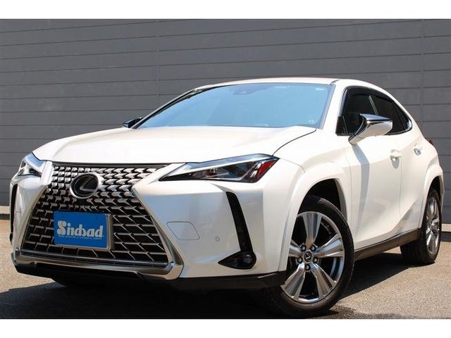 TOYOTA / LEXUS UX250h