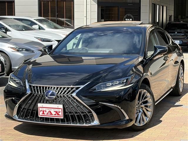 TOYOTA / LEXUS ES300h