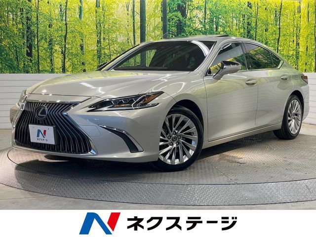 TOYOTA / LEXUS ES300h