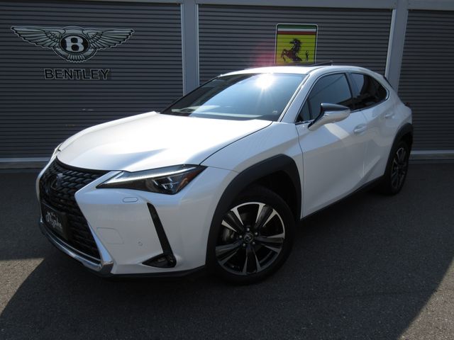 TOYOTA / LEXUS UX250h