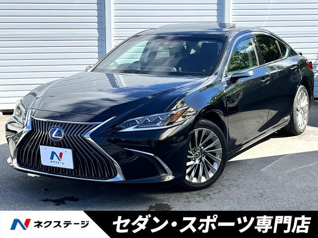 TOYOTA / LEXUS ES300h