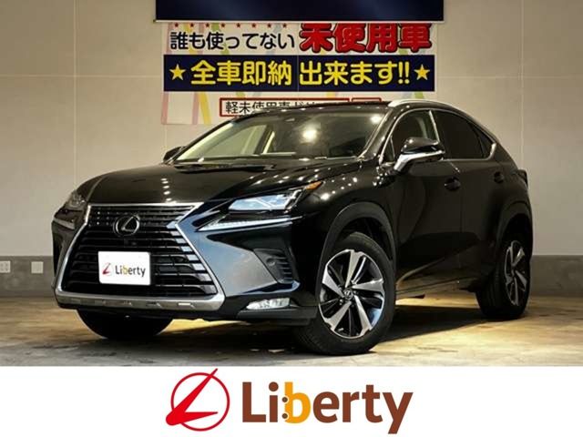 TOYOTA / LEXUS NX300