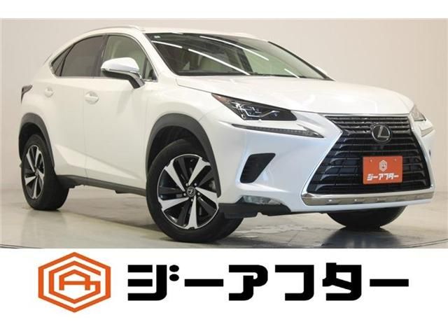 TOYOTA / LEXUS NX300