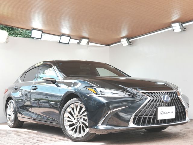 TOYOTA / LEXUS ES300h