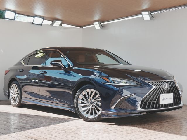 TOYOTA / LEXUS ES300h