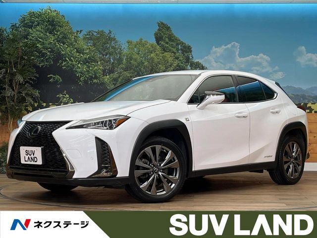 TOYOTA / LEXUS UX250h AWD